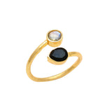 Anillo Viena