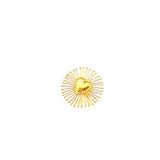 Anillo Sagrario