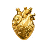 Anillo para Pañuelo Corazón Anatómico