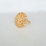 Anillo Holbox